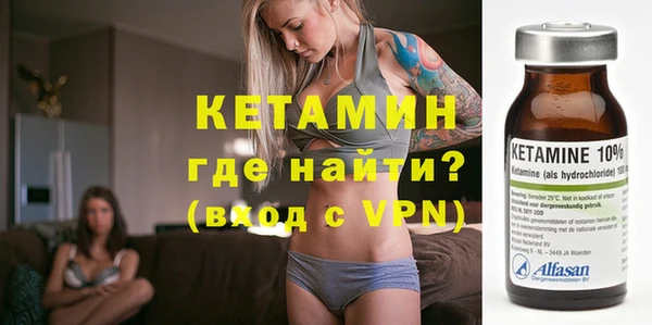индика Гусев