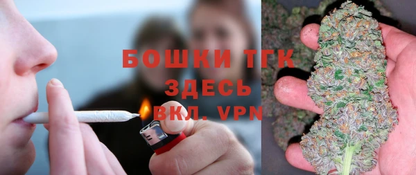 индика Гусев