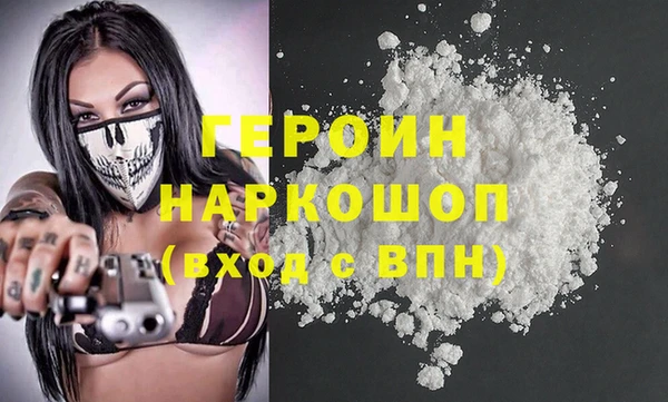 индика Гусев
