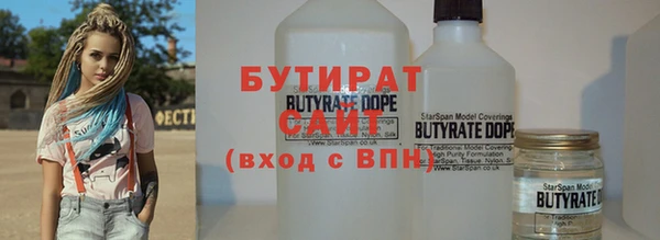 индика Гусев