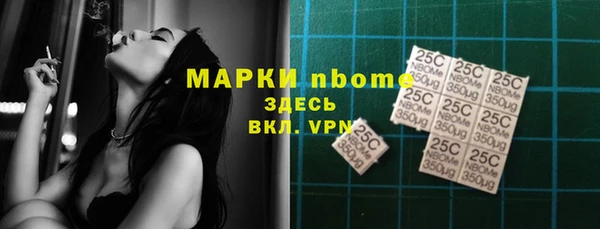 индика Гусев