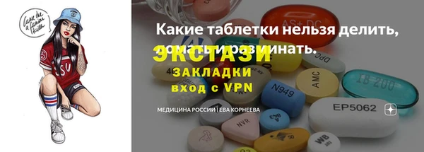 индика Гусев