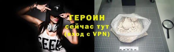индика Гусев