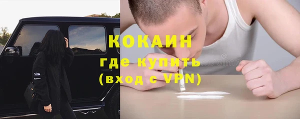 индика Гусев