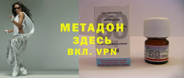 индика Гусев