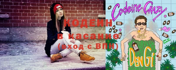 индика Гусев