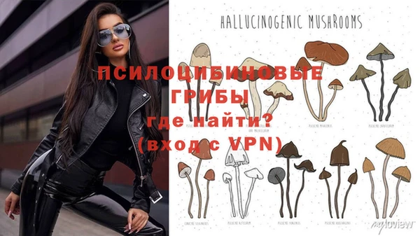 кокаин Гусиноозёрск