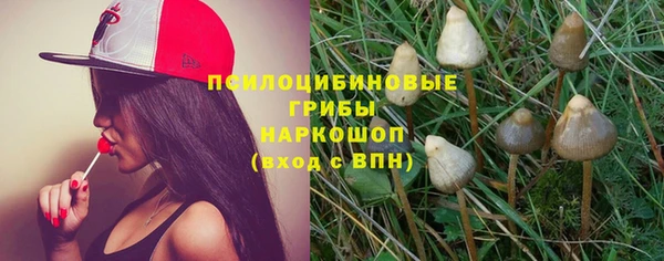 jwh Гусь-Хрустальный