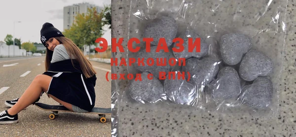 индика Гусев