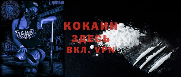 индика Гусев