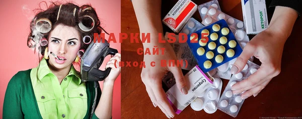 индика Гусев