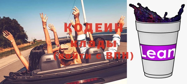 индика Гусев