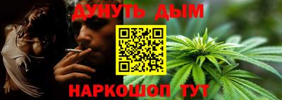 индика Балашиха